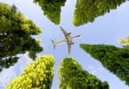 IATA Launches Environmental Sustainability Training Program